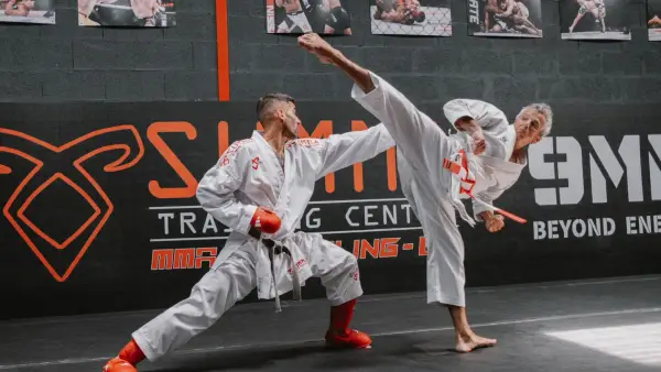 Mawashi geri karate au Summa